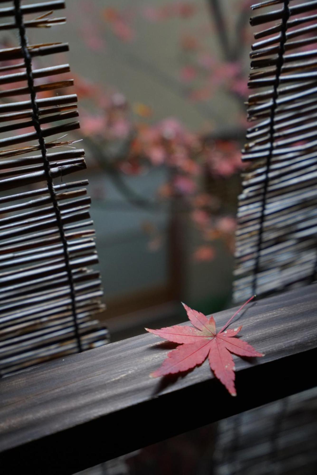 Ryokan Tori Kiotó Kültér fotó